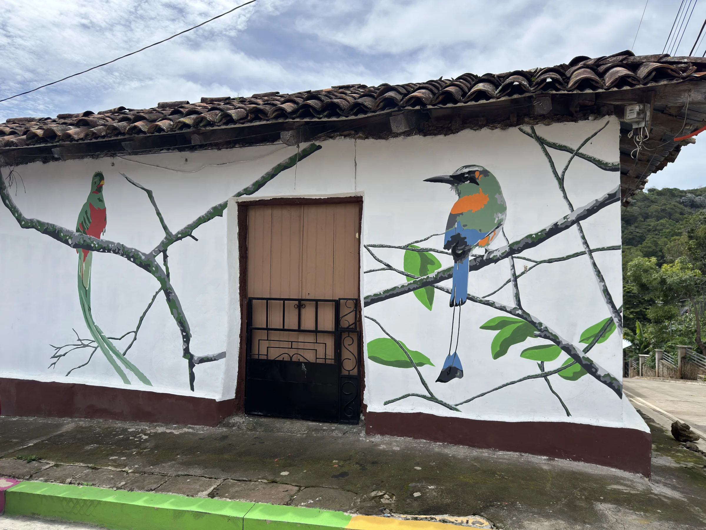 Alegría 1