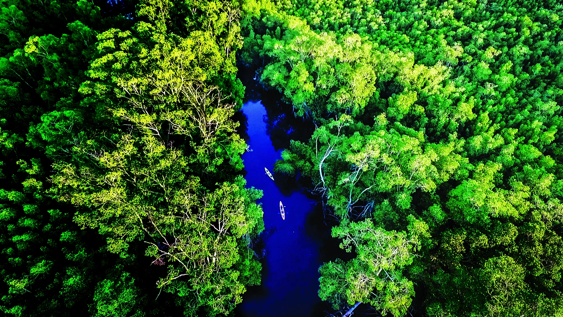 Bahía de Jiquilisco 1