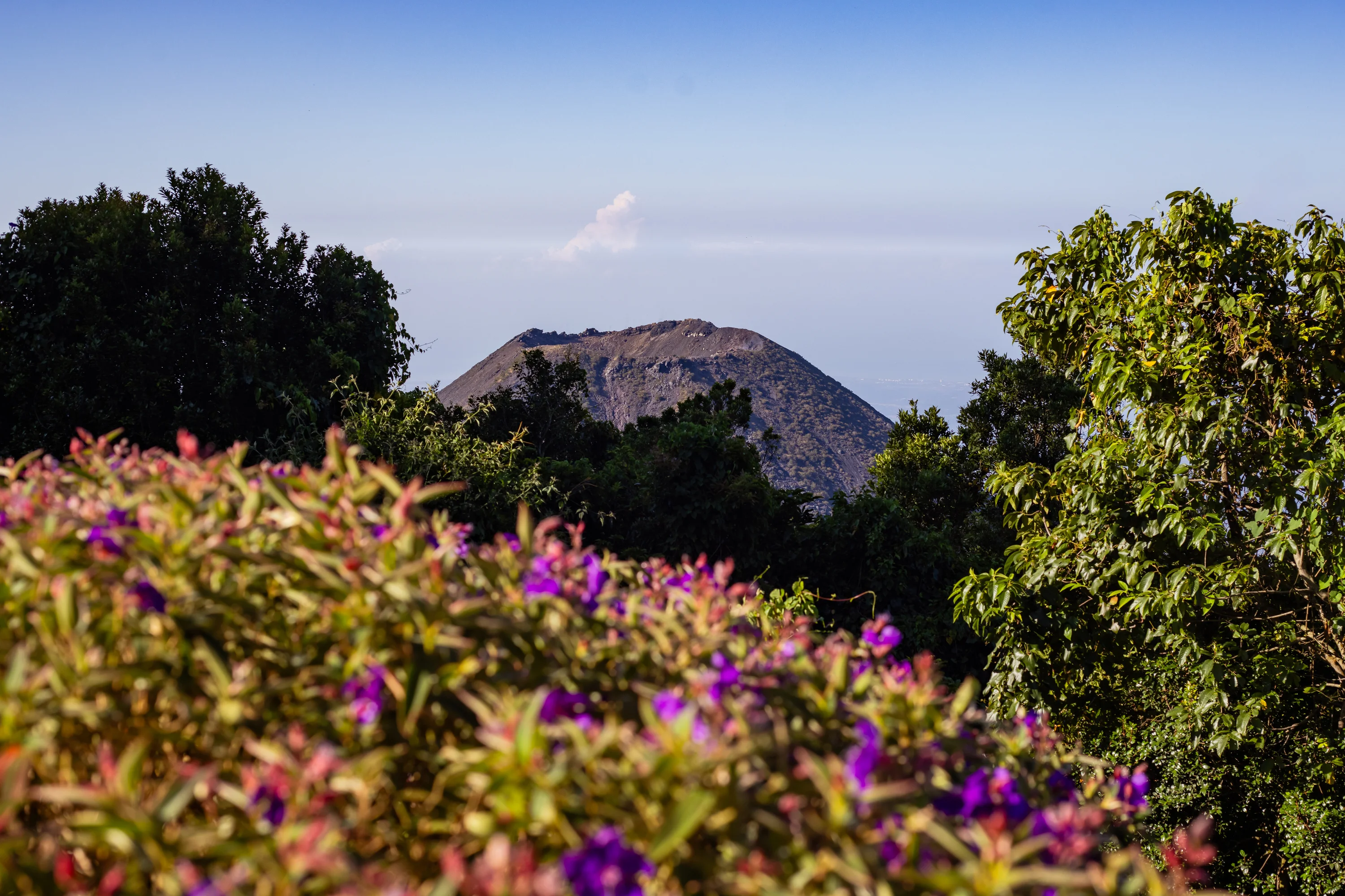Cerro Verde 1