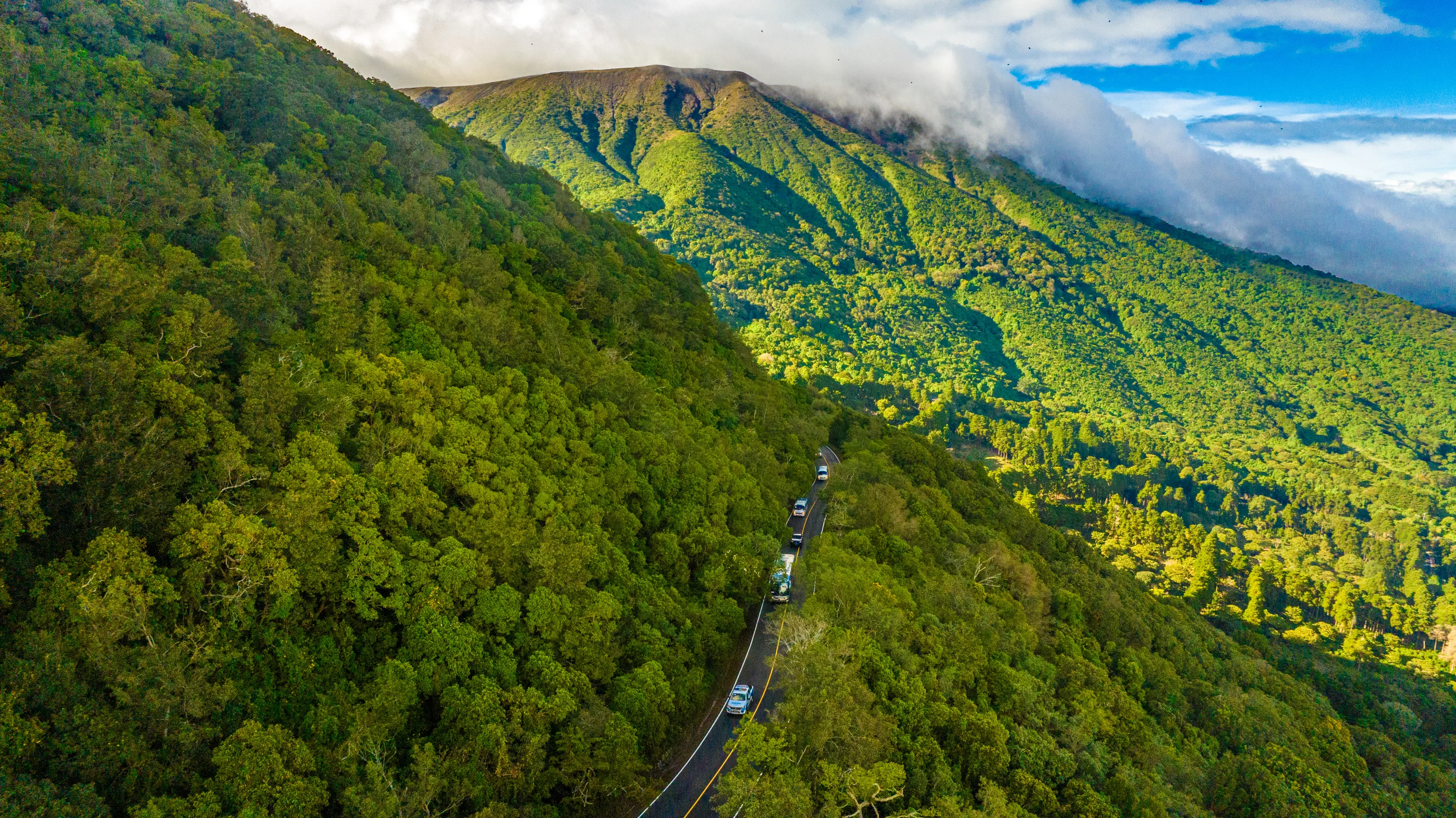 Cerro Verde 3