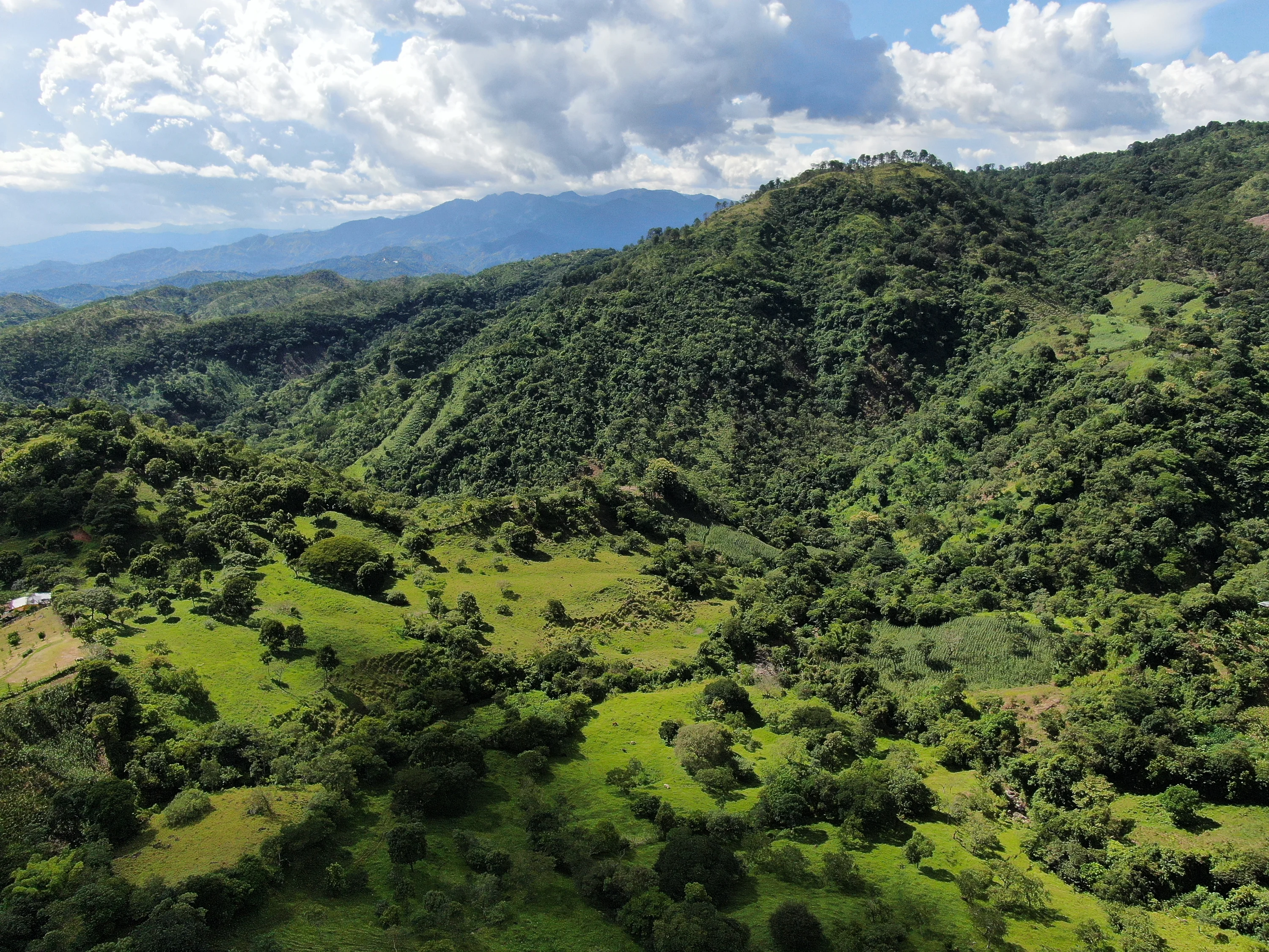 Concepción Quezaltepeque