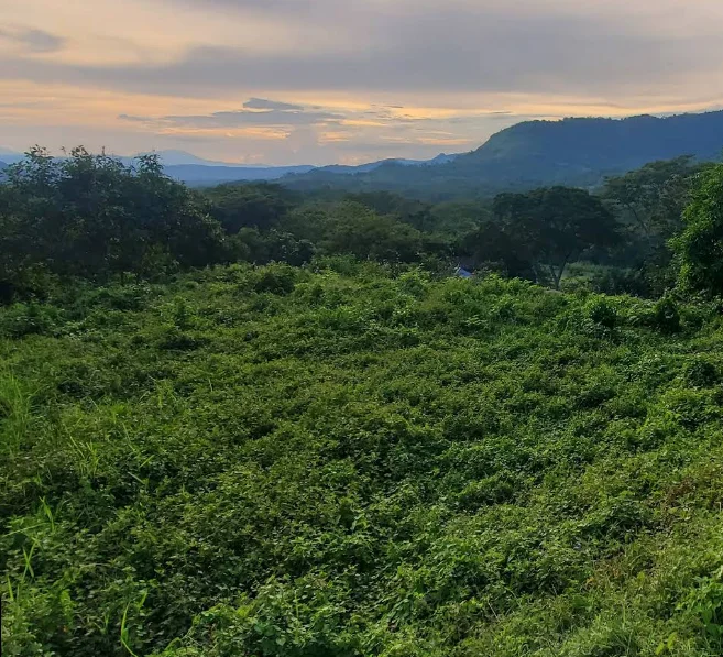 Guatajiagua