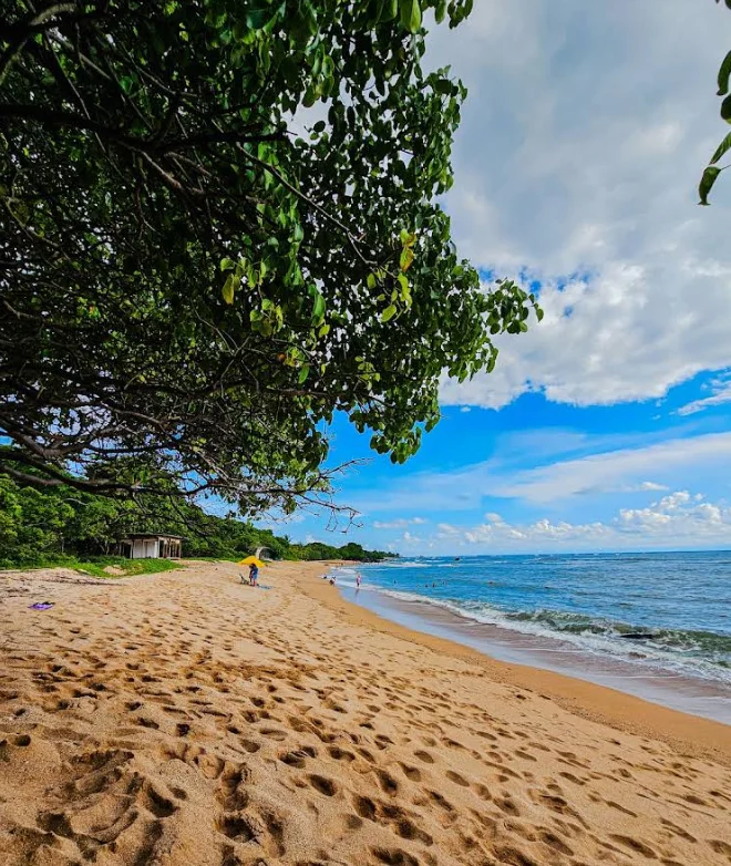 Playa Los Almendros