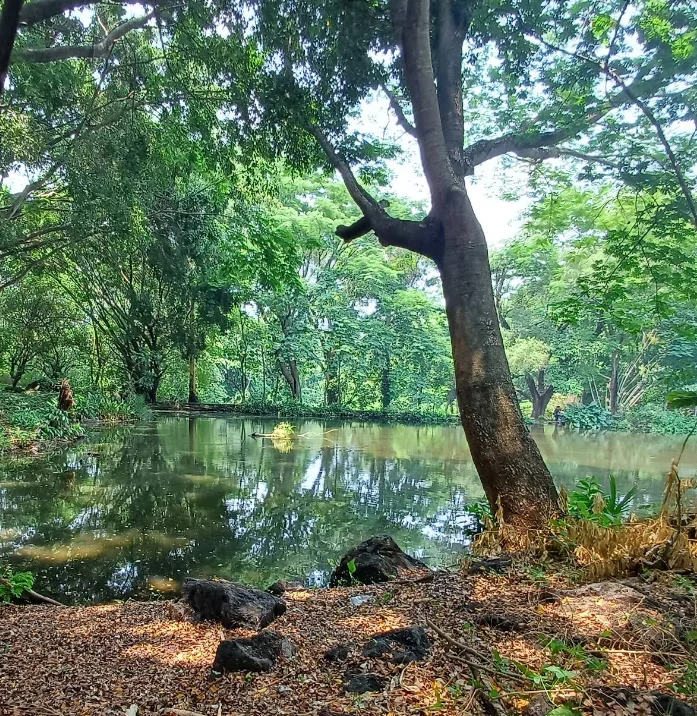 Parque Ecológico San Lorenzo