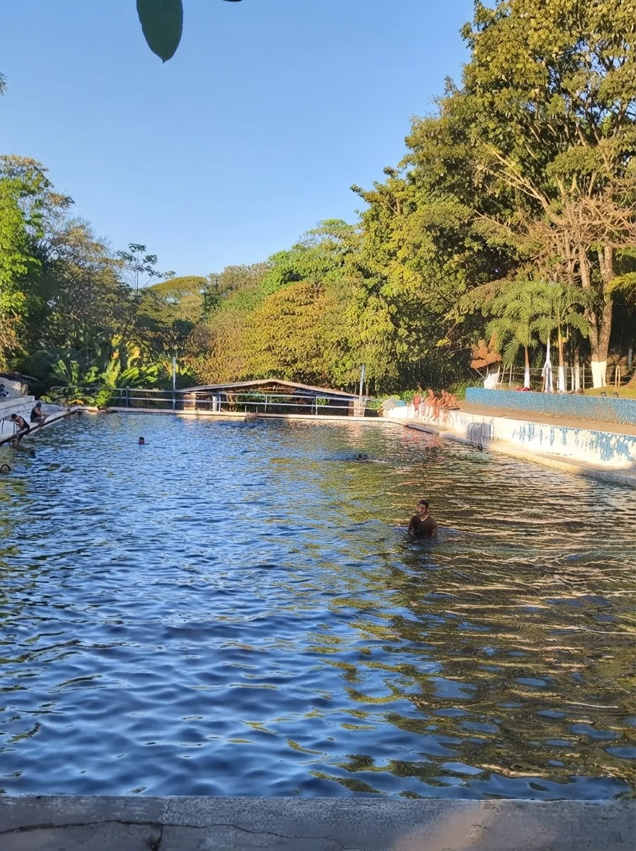Apanteos