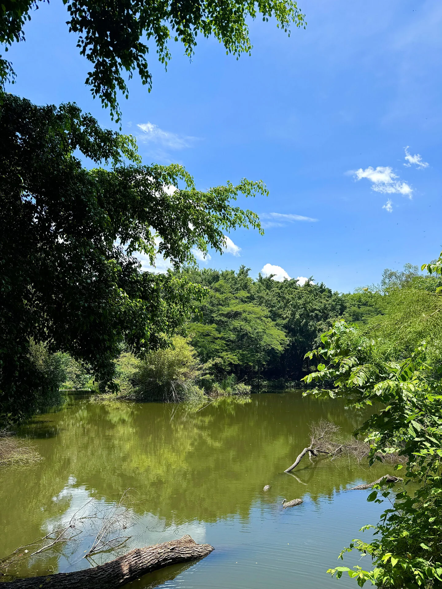 Laguna Cuzcachapa