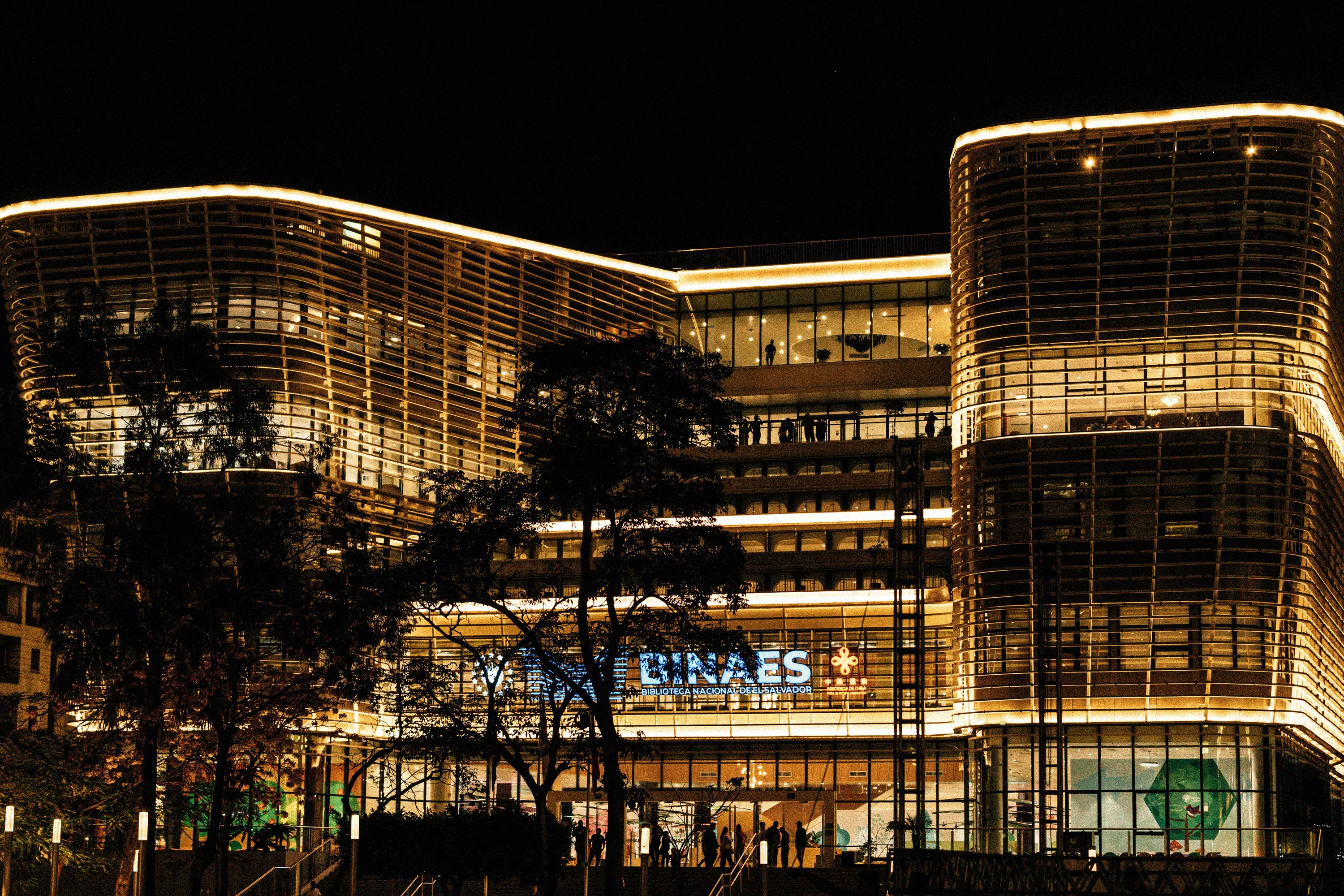 BINAES (Biblioteca Nacional de El Salvador)