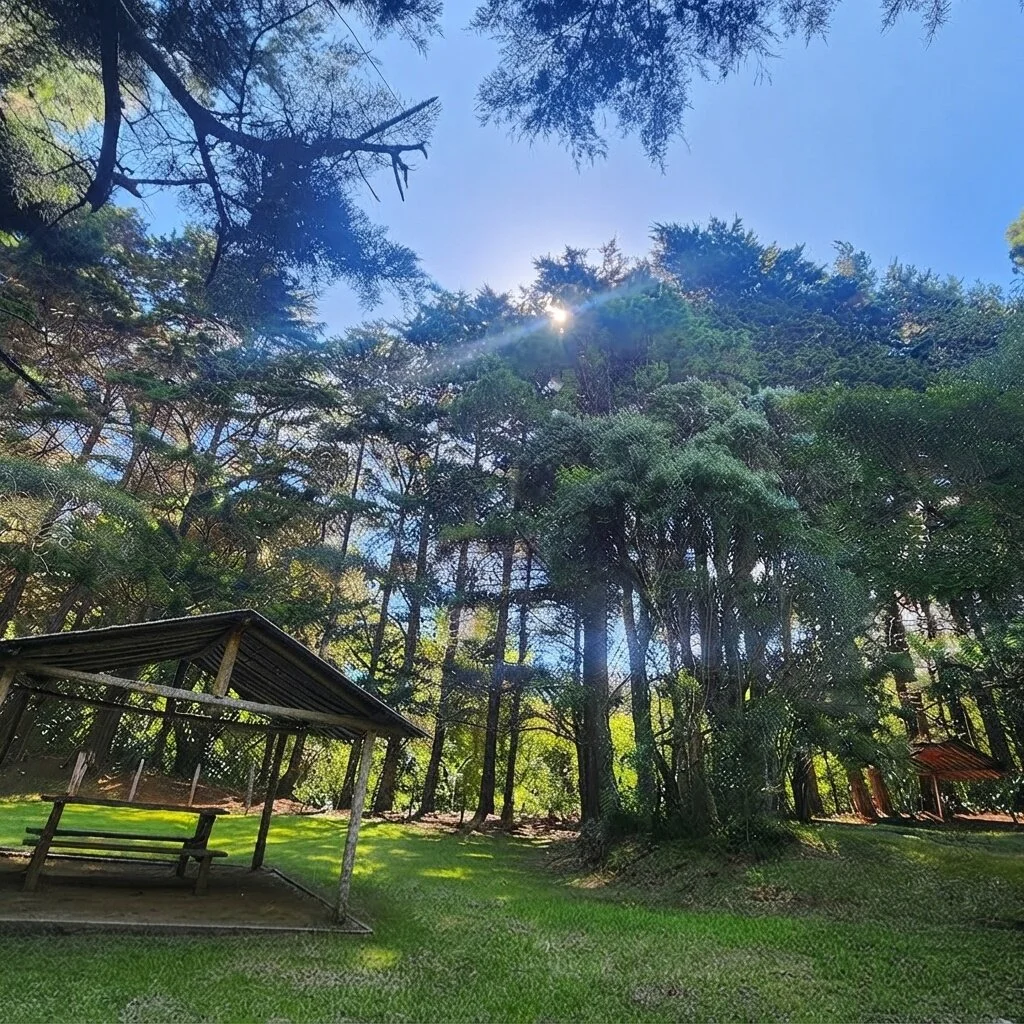 Parque Nacional Montecristo