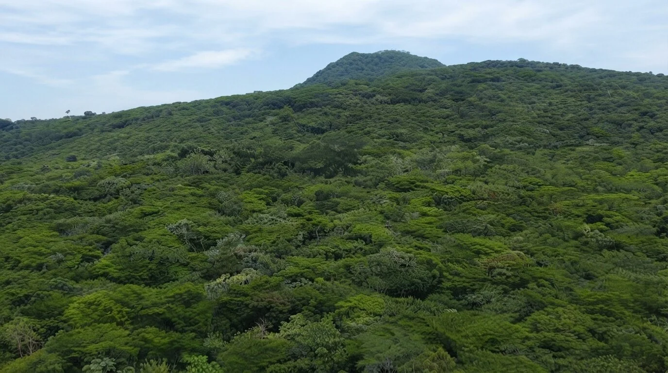 Parque Nacional San Diego y San Felipe Las Barras